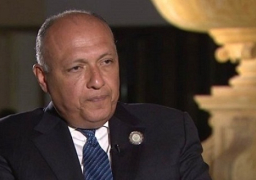 «الخارجية»: مصر تشجع الأطراف الليبية على استكمال الاتفاق السياسي بأسرع ما يمكن