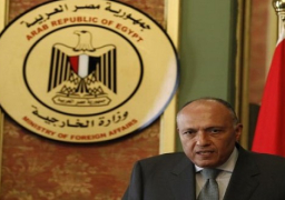 وزير الخارجية : شركاؤنا تسرعوا فى قرارات منفردة .. ويؤكد: كنا نأمل فى التنسيق بعيدا عن المصالح الذاتية.. ولم يتم إبلاغنا بمعلومات استخباراتية بشأن الطائرة