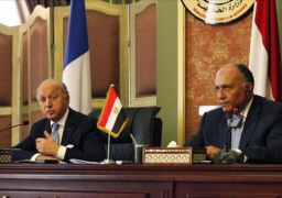 لجنة إنهاء الاحتلال الإسرائيلي برئاسة مصر تجتمع مع وزير خارجية فرنسا السبت