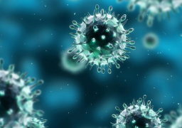 كوريا الجنوبية تسجل حالة وفاة جديدة جراء الإصابة بفيروس كورونا