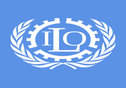 منظمة العمل الدولية : قانون النقابات الجديد يسهم في تقنين أوضاع العمال في مصر