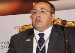 وزير الإستثمار يعرض علي اللجنة الاقتصادية مشروع لائحة قانون ضمانات وحوافز الإستثمار