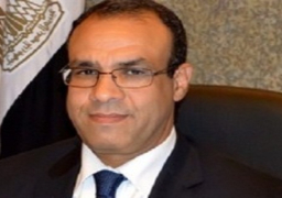 ألمانيا توافق على ترشيح السفير بدر عبد العاطى سفيرا لمصر لدي برلين