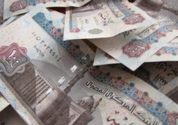 الإحصاء: 13 % ارتفاعا بقيمة الأجور بالهيئات الاقتصادية خلال 2013 / 2014