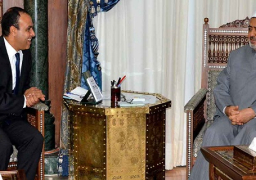 الإمام الأكبر: الأزهر مستعد للتعاون مع الحكومة الألمانية في تكوين الأطر الدينية