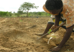 اجتماع الجمعية العمومية للشركة المصرية السودانية للتكامل الزراعى السبت