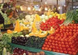 209 ملايين و600 ألف دولار صادرات الإسماعيلية الزراعية خلال 6 أشهر