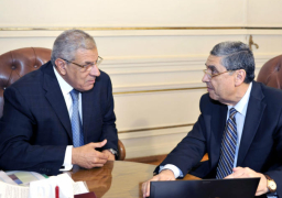 شاكر يستعرض مع رئيس الوزراء مشروعات قطاع الكهرباء