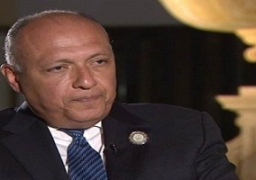 شكري : قرار بريطانيا بتأخير إقلاع طائراتها من شرم الشيخ لمخاوف أمنية يثير الاندهاش