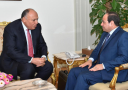 شكري يشارك في احتفالات جنوب السودان بالاستقلال نيابة عن الرئيس السيسي