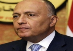 شكري يعتمد حركة تنقلات لعدد من الدبلوماسيين من مختلف الدرجات بالخارج