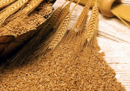 “التموين”: شراء 235 ألف طن قمح روسي وروماني والاحتياطي يكفي حتي منتصف فبراير