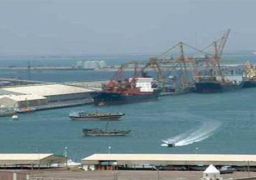 وصول 3500 طن بوتاجاز لموانئ السويس و 1019 طن كيماويات لميناء الادبية