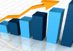 الإحصاء: 116.7 مليار جنيه حجم الدعم خلال 11 شهرًا من العام 2014-2015