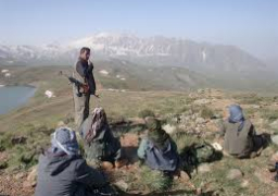 29 قتيلا وجريحا فى هجوم لعناصر حزب العمال الكردستانى بجنوب شرق تركيا