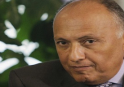 الخارجية تنتقد تقرير “سي إن إن” بشأن الأوضاع الأمنية في مصر