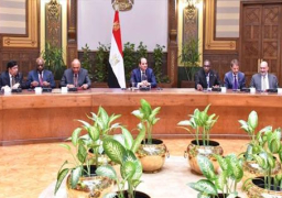 بالصور.. الرئيس يلتقي بالمندوبين الدائمين والقائمين بأعمال أكثر من 50 دولة بالأمم المتحدة