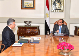 السيسى يوجه “الرقابة الإدارية” بتسوية مشكلات المستثمرين ومكافحة الفساد