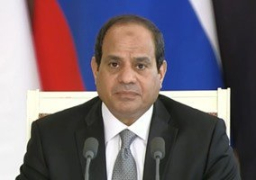 السيسى: نحتاج إستراتيجية عالمية لمواجهة ظاهرة الإرهاب ثقافيًا واقتصاديًا