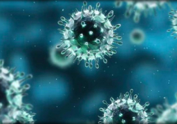 الصحة تنفي تفشي الإصابة بالحمى الشوكية أو ڤيروس غامض أو أي وباء