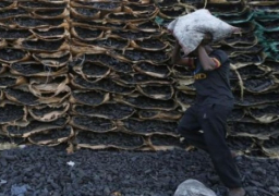 أسعار الفحم تهوي لأدنى مستوياتها في 12 عاما