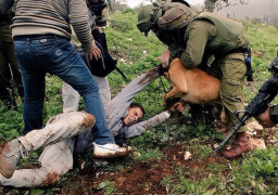 قوات إسرائيلية تستهدف مزارعين فلسطينيين جنوب قطاع غزة