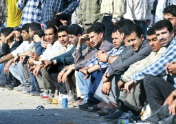 التعبئة والإحصاء : 26.3 % معدل البطالة بين الشباب عام 2014