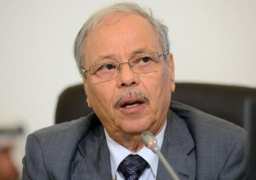 بن حلى: مجلس الدفاع العربى يناقش الخميس ملاحظات الدول الأعضاء على القوة المشتركة