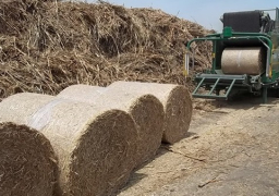 توقيع عقود بين الشركات لتدوير المخلفات الزراعية بالشرقية تحت رعاية وزارة البيئة