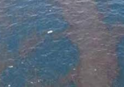 وزير البيئة ومحافظ أسيوط يتفقدان محطات المياه المتضررة من تسرب المازوت