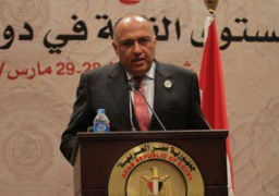 شكري يبحث مع نائبة رئيس وزراء كرواتيا تطورات أزمة الرهينة المحتجز… وجهود مكثفة لتحديد مكانه