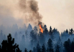 سحب الدخان تغطي سماء واشنطن.. وحرائق الغابات تمتد إلى شيلان