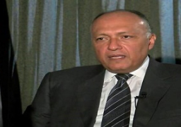 مصر ترحب باتفاق السلام بين حكومة جنوب السودان و المعارضة