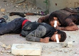 المرصد السوري: مقتل 30 شخصا في أول غارة فرنسية على مواقع ل”داعش”