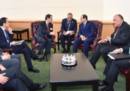 السيسى يرحب بجهود قبرص بِشأن دعم القضية الفلسطينية