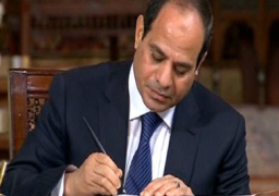 قرار جمهوري بالموافقة على بروتوكول تعاون لتوفير وظائف لائقة لشباب مصر