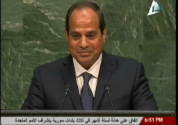 اليوم..السيسي يلتقي عباس وصناع القرار الاقتصادي بالولايات المتحدة