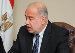 إسماعيل : دراسة ملاحظات “الخدمة المدنية” وحركة المحافظين