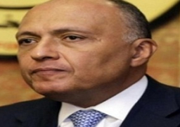 شكري يبحث مع نظيره البريطاني الأوضاع المتردية في الأقصى