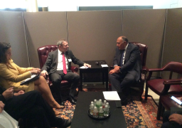 شكري يبحث مع وزيري خارجية الأرجنتين والتشيك العلاقات الثنائية وتنسيق المواقف فى المحافل الدولية