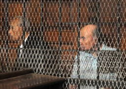 اليوم.. نظر محاكمة يوسف والي في قضية “أرض البياضية”