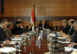 محلب يطالب الحكومة بالعمل على خروج الانتخابات بنزاهة تامة