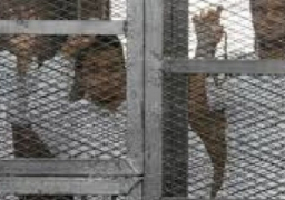 جنايات الجيزة تستكمل محاكمة عناصر “أجناد مصر” بارتكاب جرائم إرهابية