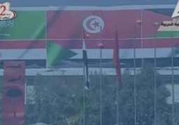 أعلام الدول المشاركة بحرب أكتوبر ترتفع باحتفالات الذكرى الـ42 للنصر