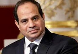 الرئيس السيسي يصل الي نيودلهي للمشاركة في قمة منتدى الهند افريقيا 2015