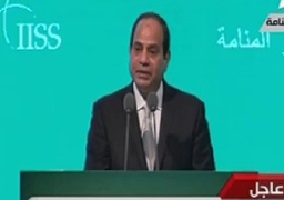 السيسى: الجماعات الخارجة عن القانون تستغل الاختلافات الطائفية والمذهبية