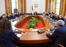 السيسي: يتعين ان تشهد استراتيجية عمل الحكومة مع مختلف الأزمات تغيرا نوعيا