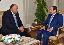 السيسي يجتمع بوزير الخارجية لاستعراض نتائج زيارته الأخيرة لنيويورك