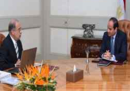 السيسي يلتقي إسماعيل لبحث سير الانتخابات والسيطرة على الأسعار