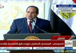 كلمة السيسي خلال احتفالات مصر بالذكرى 42 لنصر أكتوبر بحضور السبسى